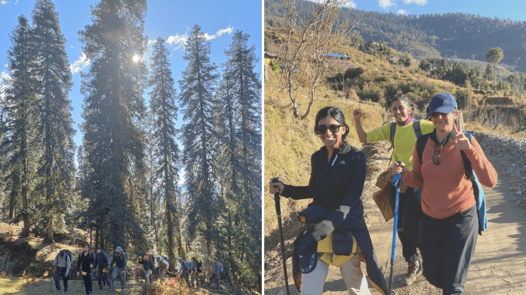 Kedarkantha Trek Trail